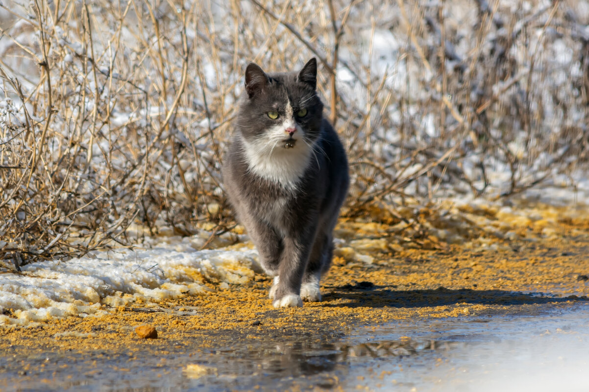 после гулянок - Виталий Емельянов после гулянок - Виталий Емельянов