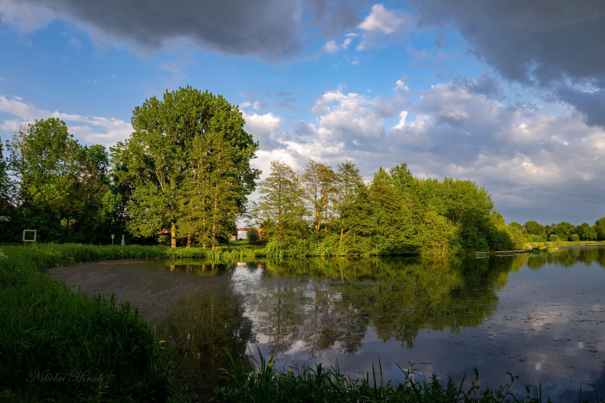 Майским вечером... - Николай Гирш