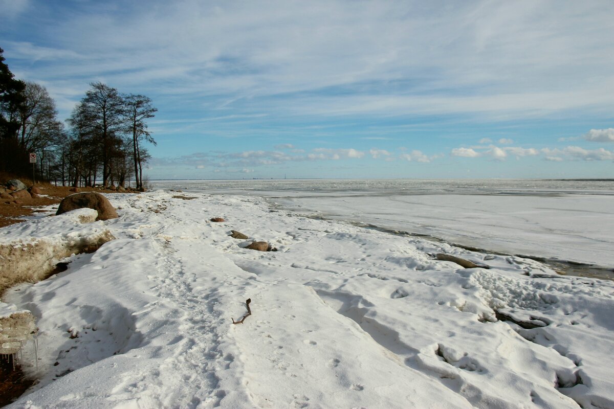 Зеленогорск. Март - Наталья Герасимова Зеленогорск. Март - Наталья Герасимова