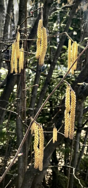 Скоро, скоро полетят… - Любовь 