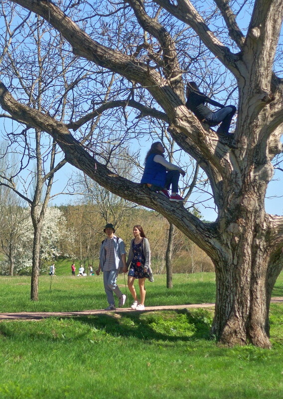 Вешнее головокружение ) - Всеволод 