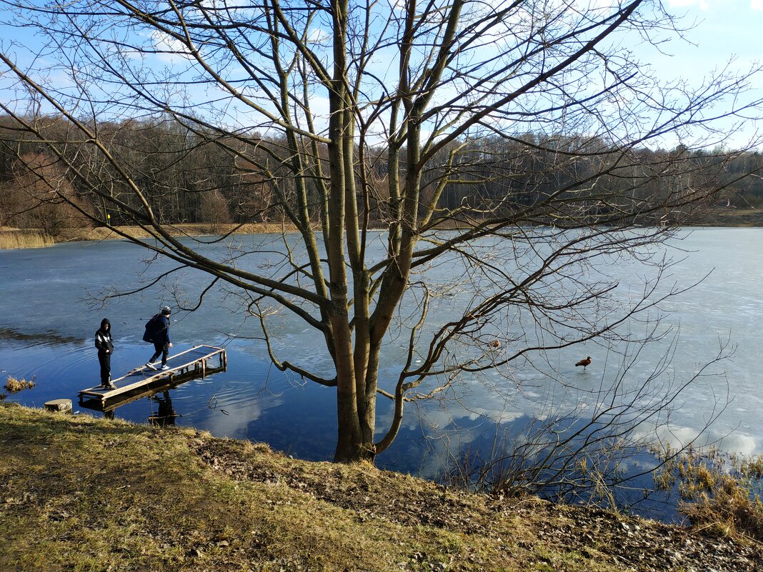 Как я провел день рождения И.С. Баха - Андрей Лукьянов Как я провел день рождения И.С. Баха - Андрей Лукьянов