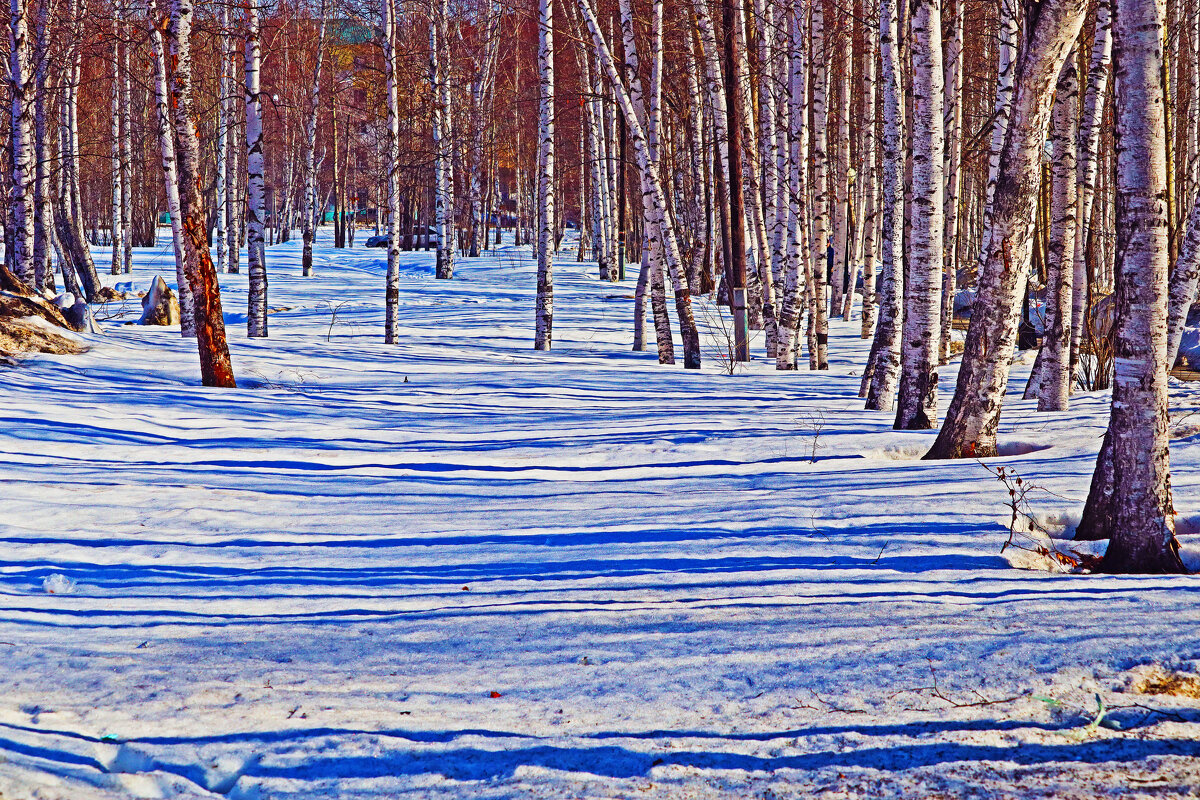 Март....Весна света в городском сквере! - Владимир Март....Весна света в городском сквере! - Владимир
