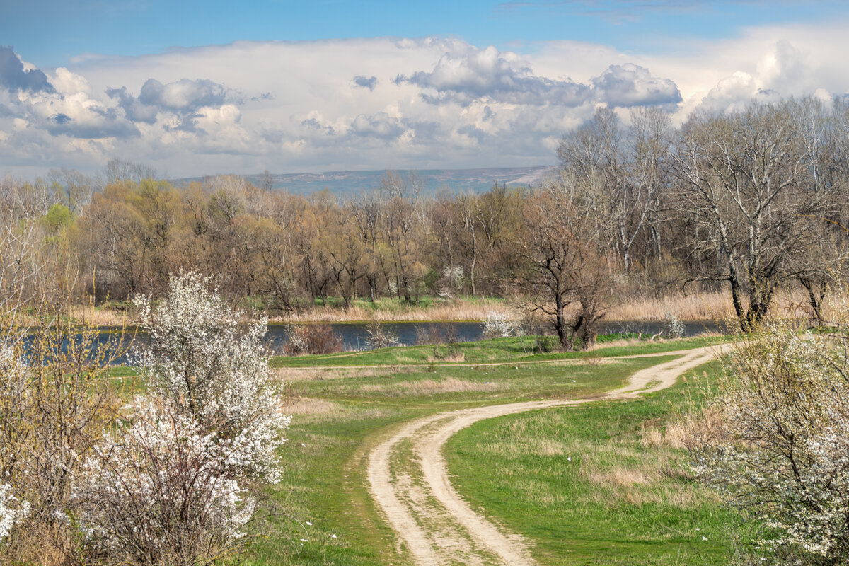 Весна - Игорь Сикорский Весна - Игорь Сикорский