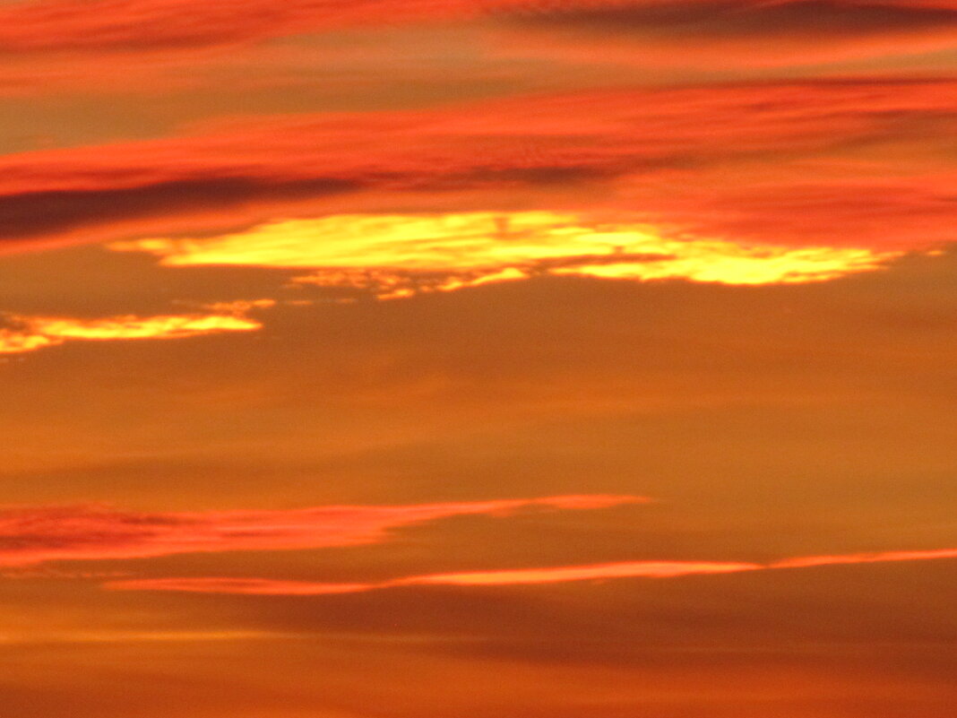 ПРО закат - Елена Шаламова