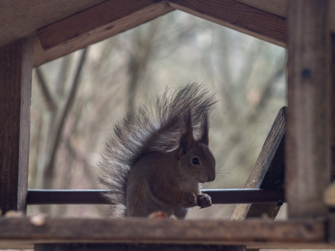 ___ - Yuriy V ___ - Yuriy V