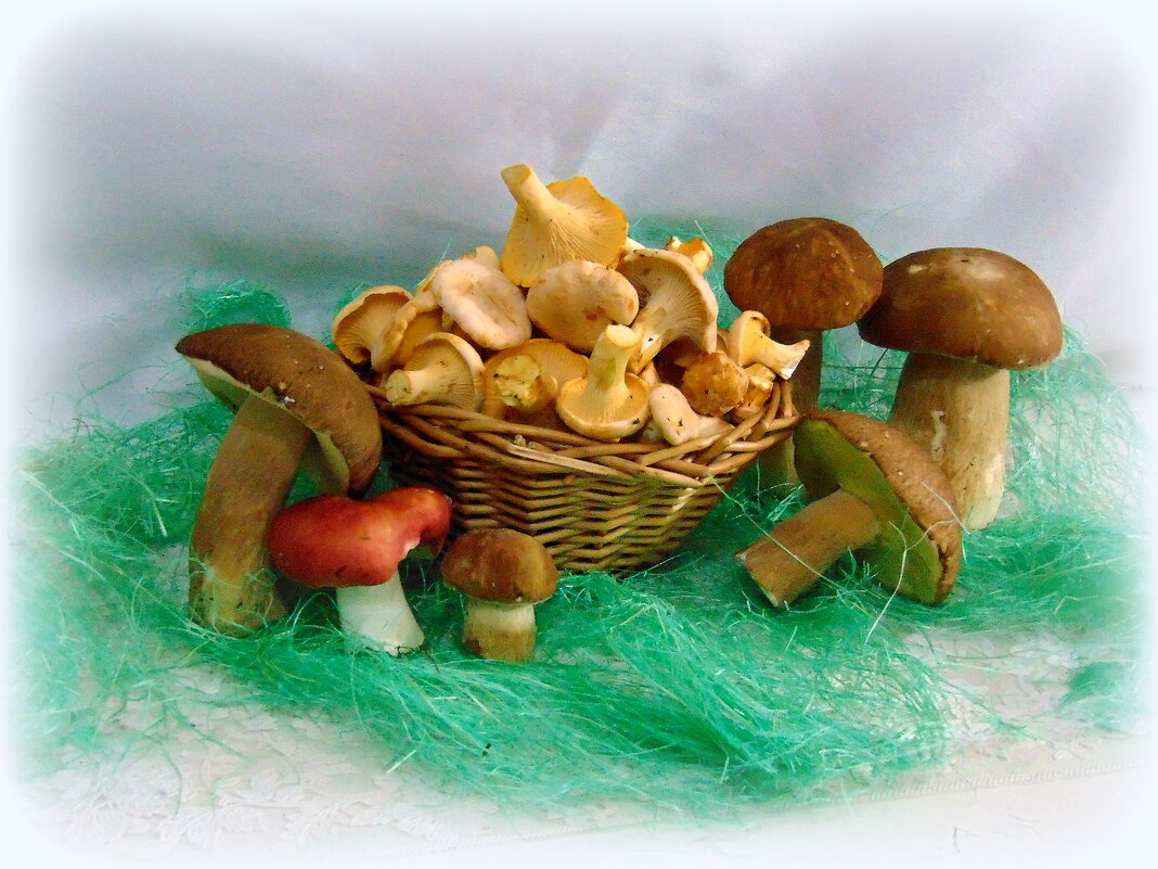 Про грибочки. - nadyasilyuk Вознюк