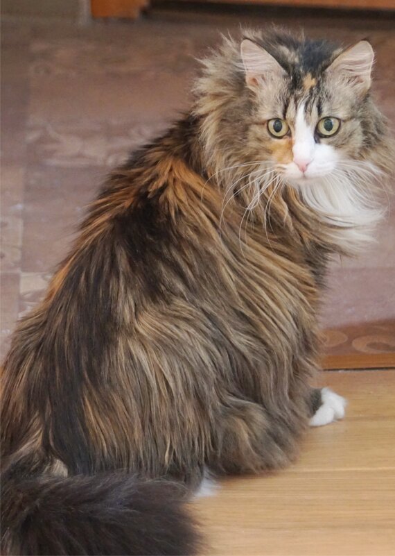 Мимоходом - Наталия Григорьева