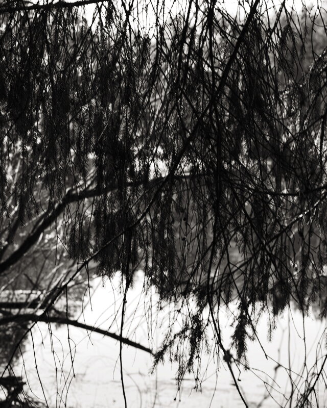 Название отсутствует - Денис Безногов