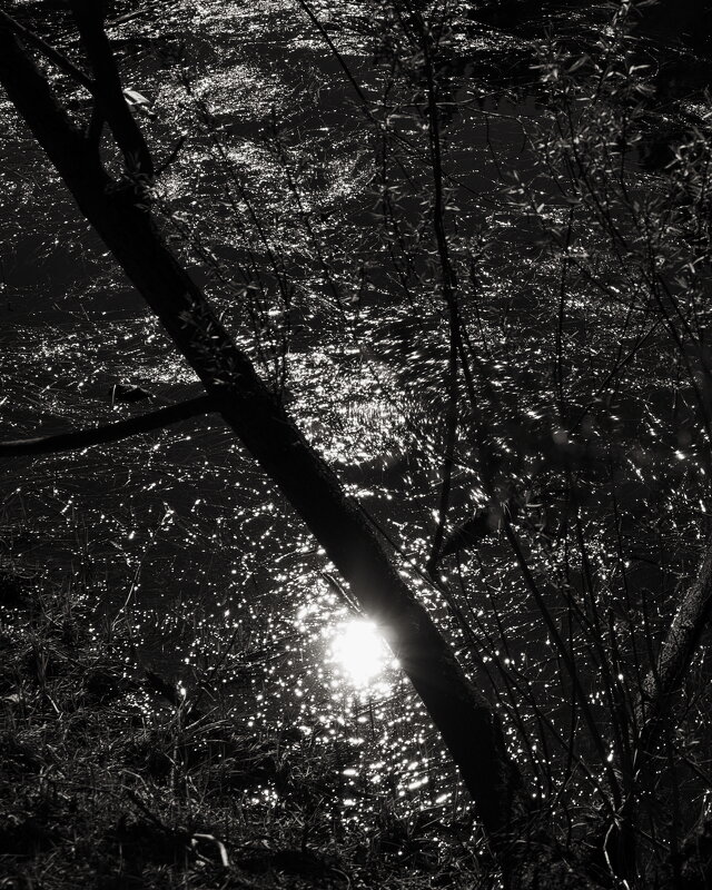 Название отсутствует - Денис Безногов