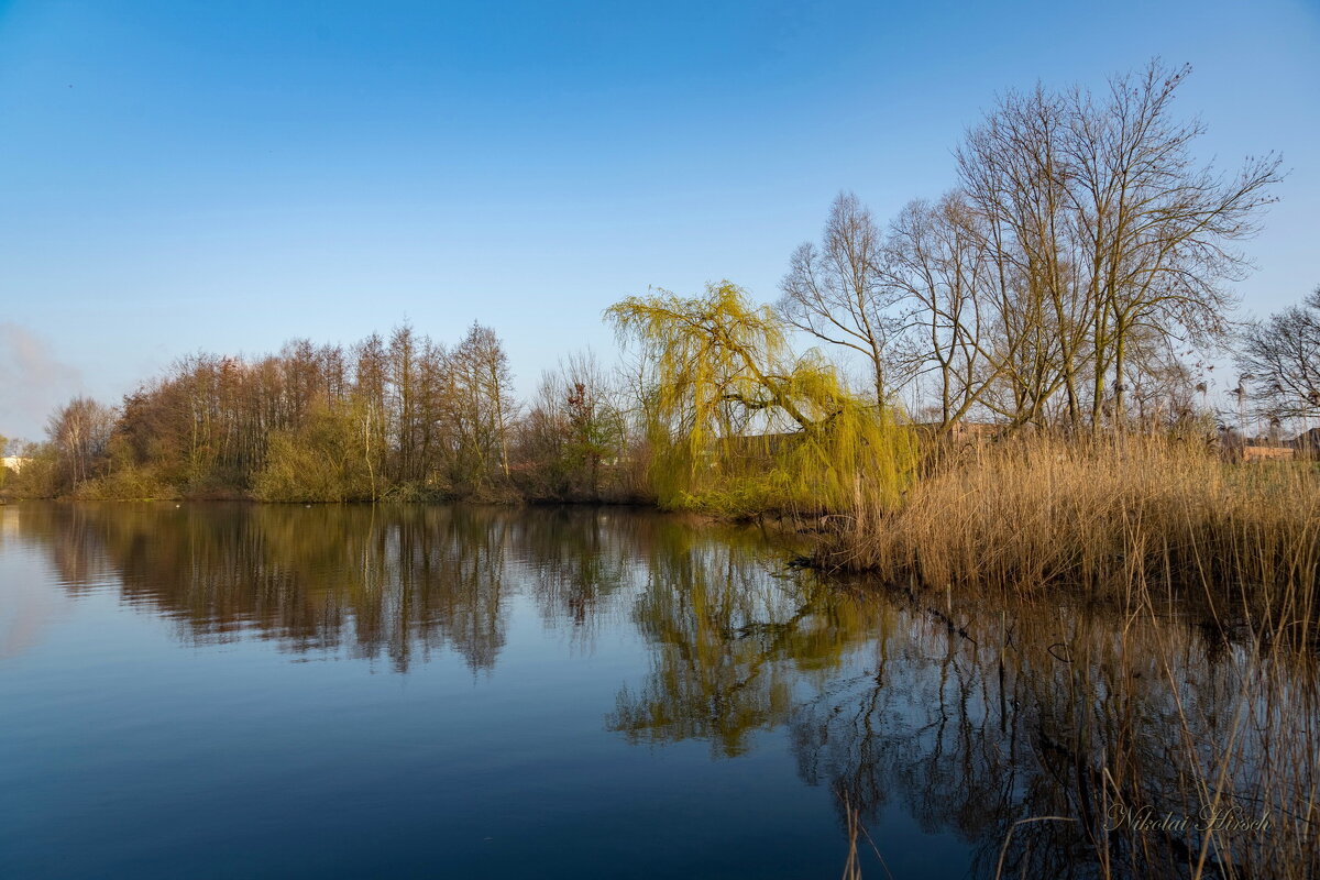 Озеро в марте... - Николай Гирш Озеро в марте... - Николай Гирш