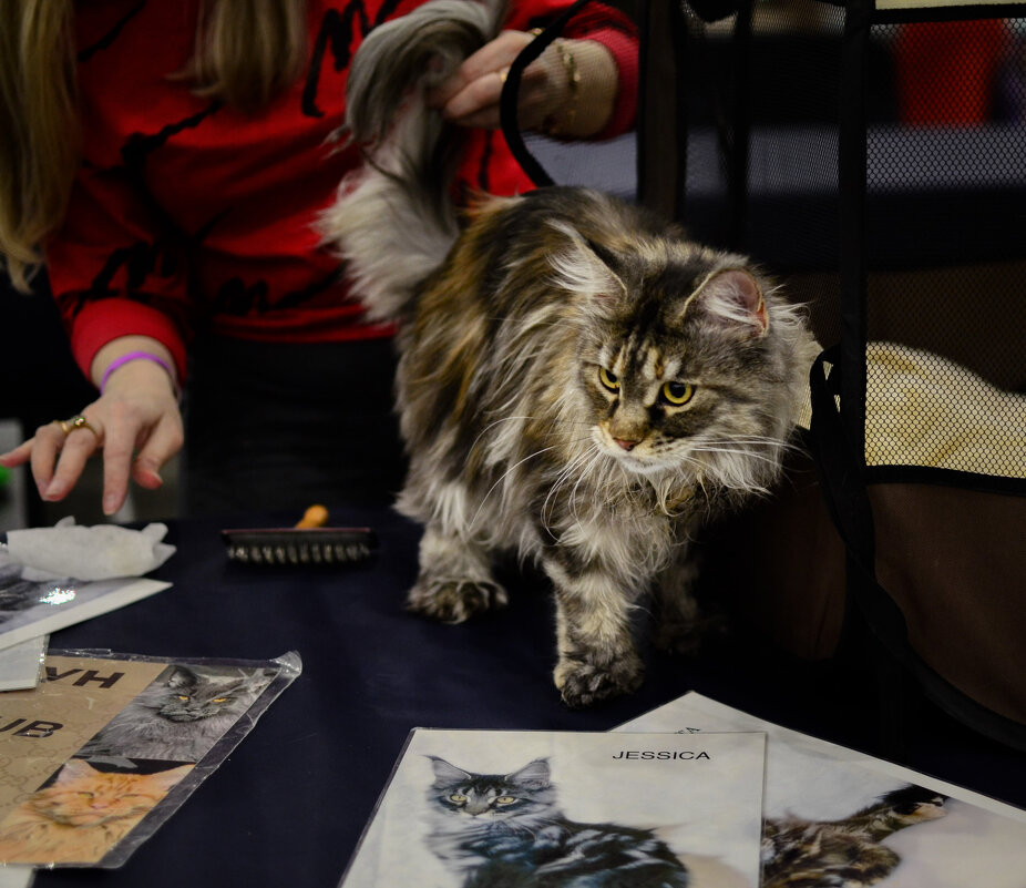 На выставке - Магомед .