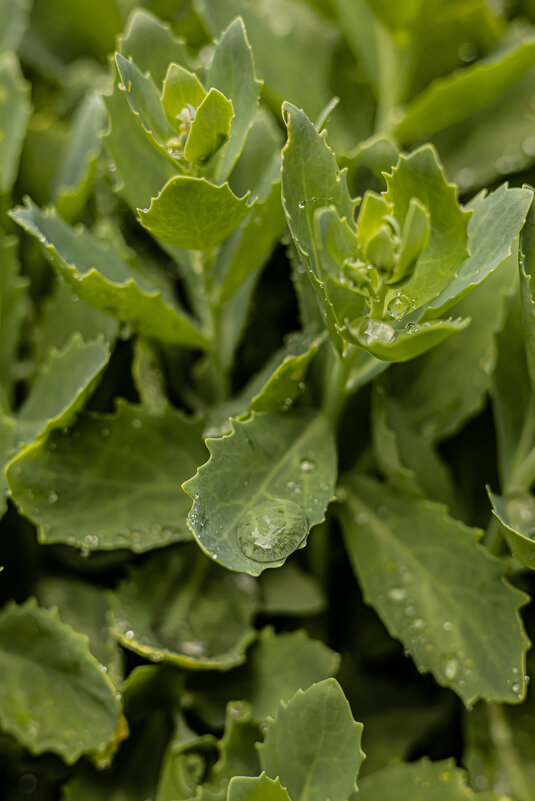 22 марта - всемирный день воды - Анастасия Фотографовна 22 марта - всемирный день воды - Анастасия Фотографовна