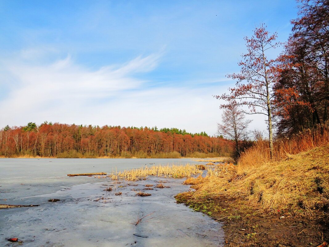 Весенний берег - Андрей Снегерёв