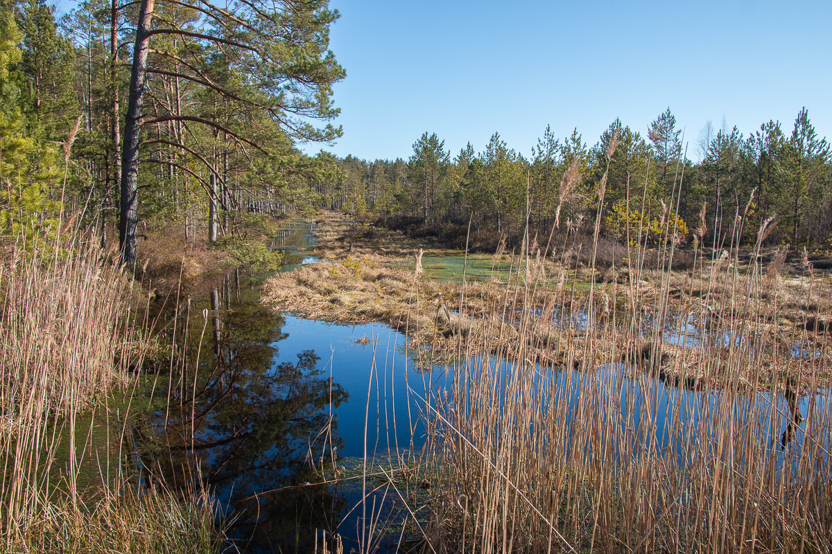 *** - Геннадий Порохов
