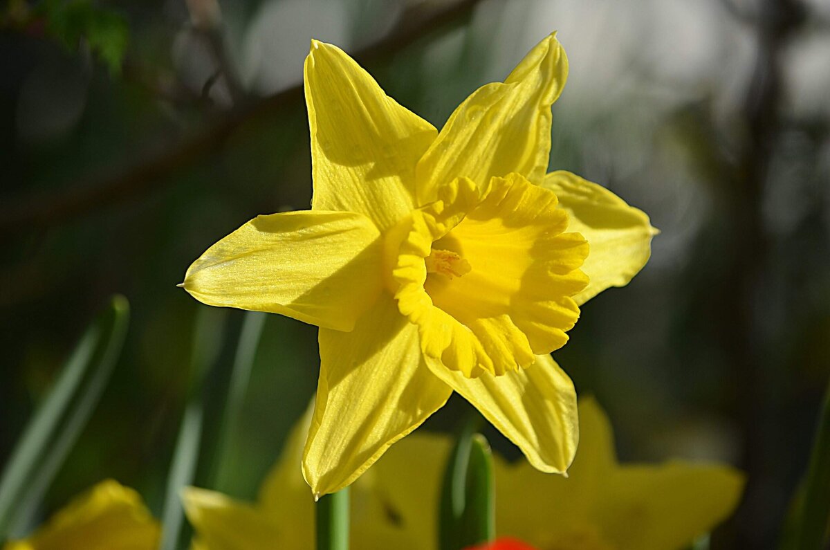 Репетиция весны - Татьяна Тюменка Репетиция весны - Татьяна Тюменка