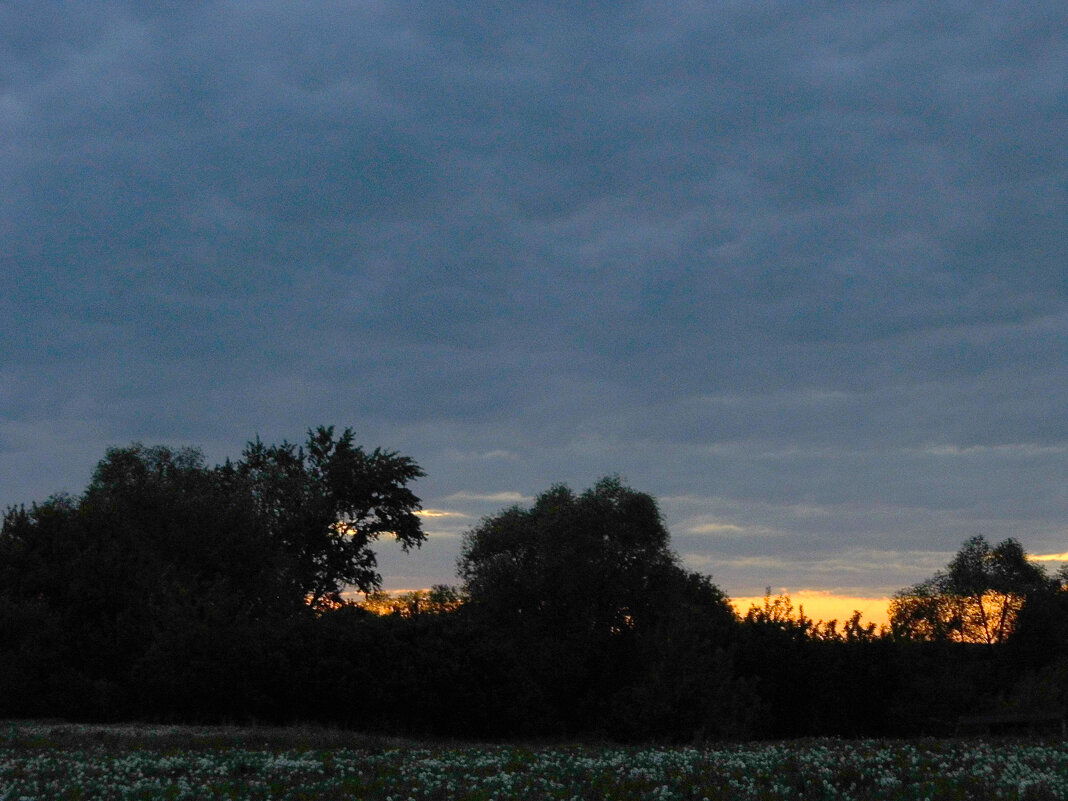 Вечерний закат - Юлия Денискина