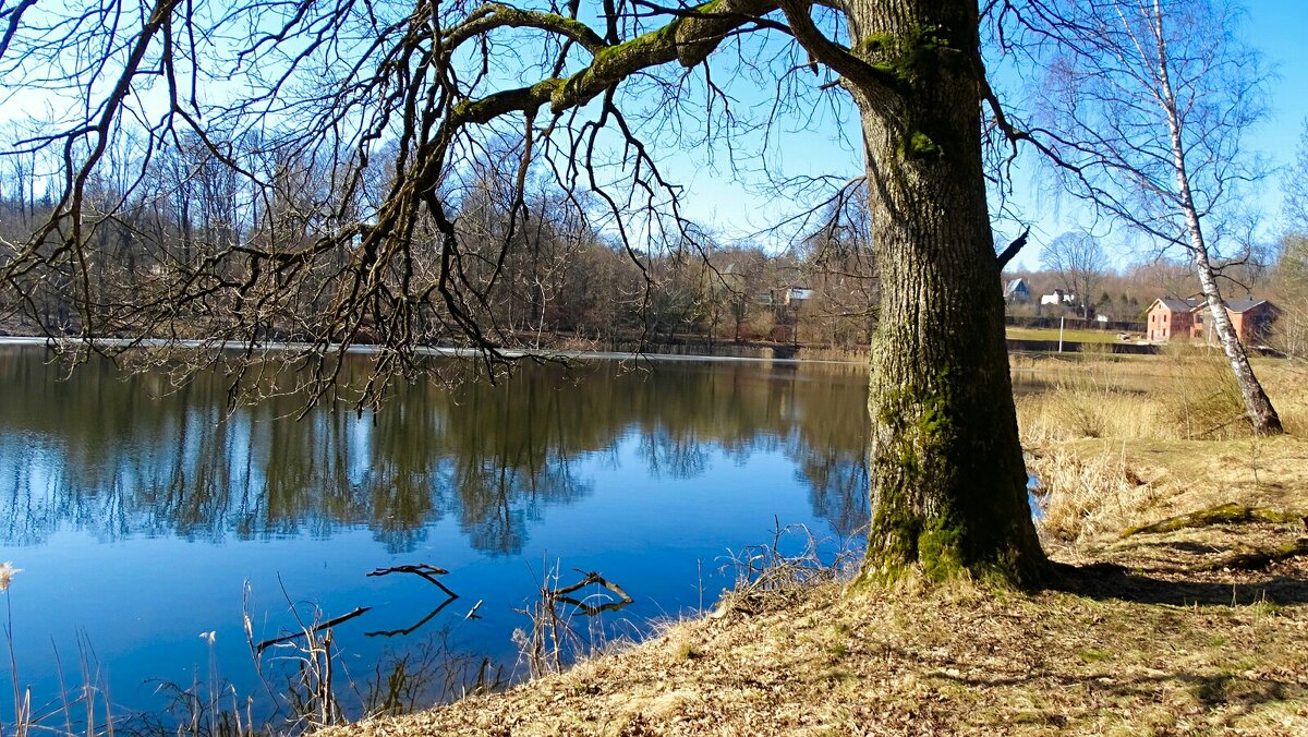 Смоленщина в марте - Милешкин Владимир Алексеевич Смоленщина в марте - Милешкин Владимир Алексеевич
