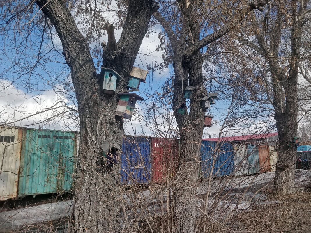 Скворечники,курам на смех - Андрей Хлопонин