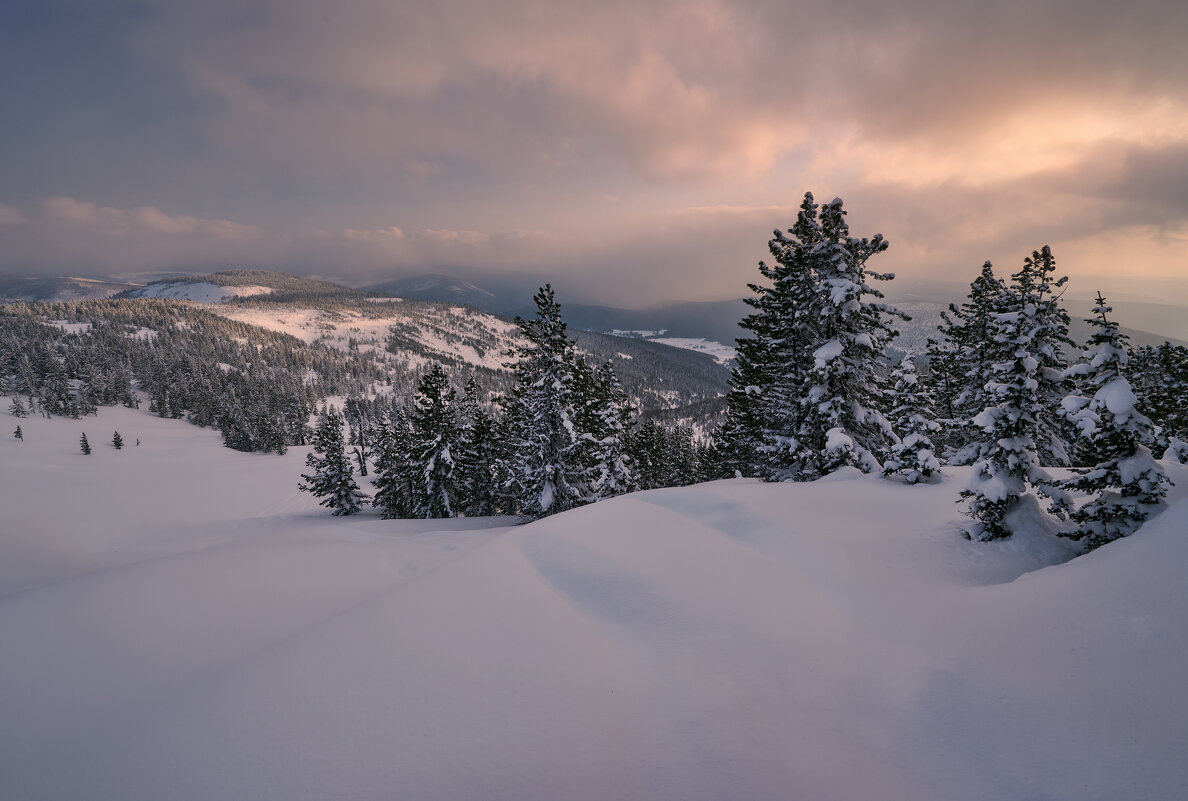 * - Александр Иванов * - Александр Иванов