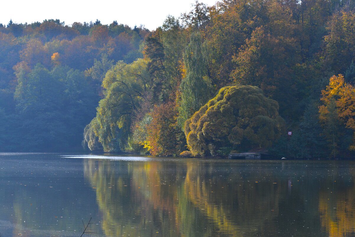 Верхний Царицынский пруд - Константин Анисимов