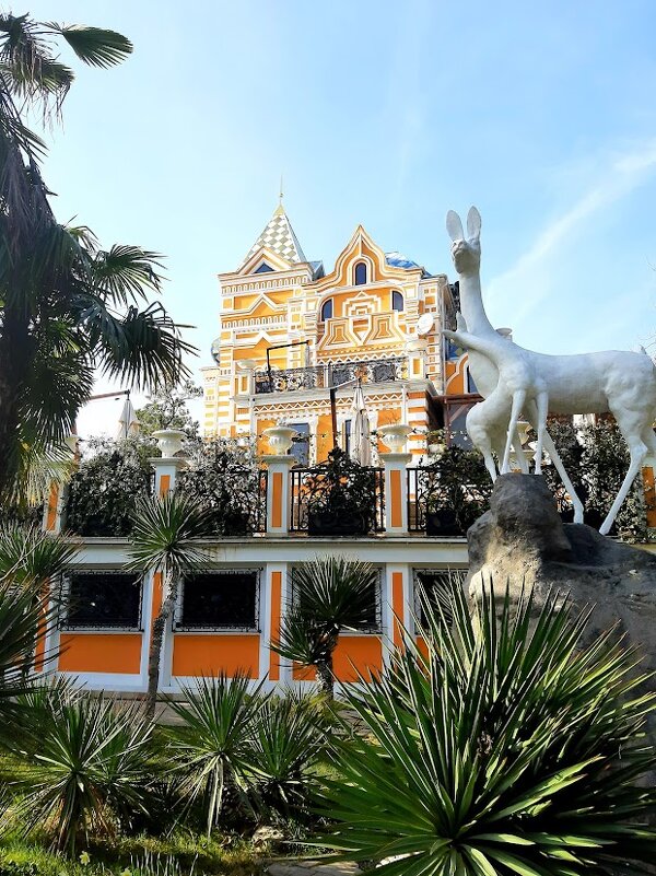 Парк Ривьера - Tata Wolf Парк Ривьера - Tata Wolf