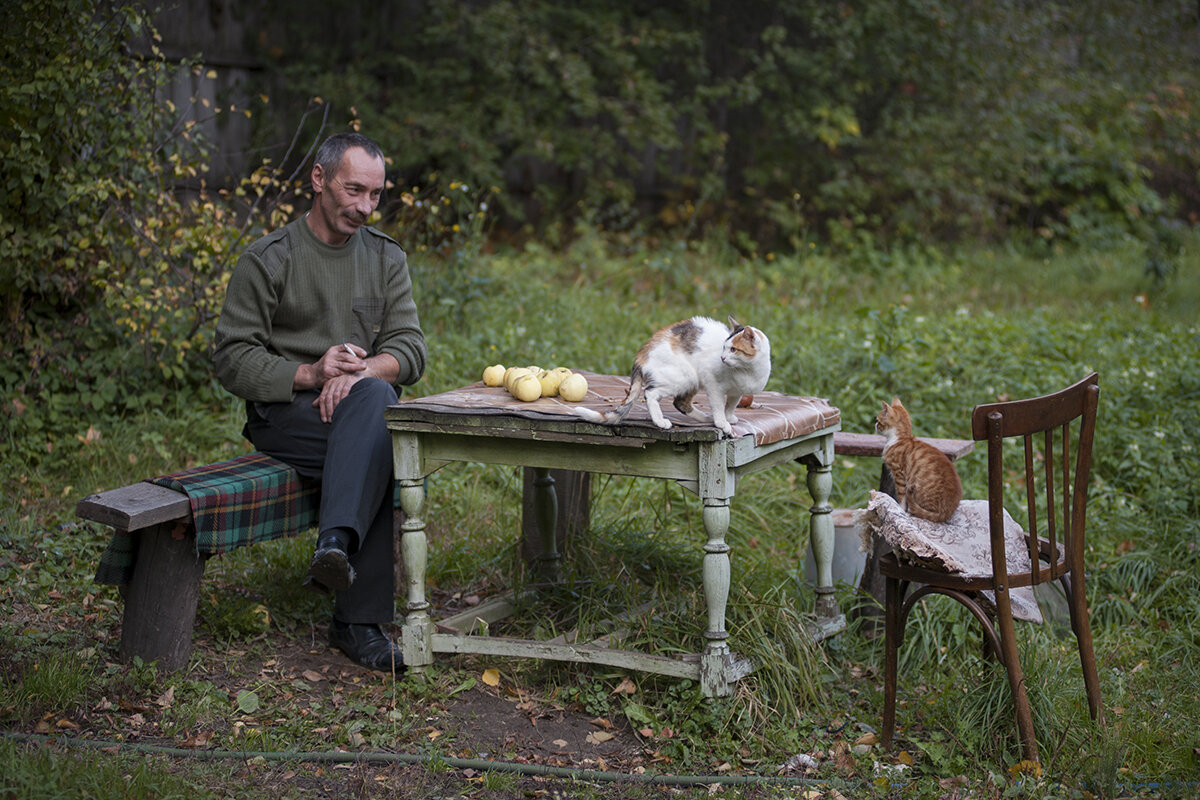 Володя, яблоки и кошки... - Владимир Носов