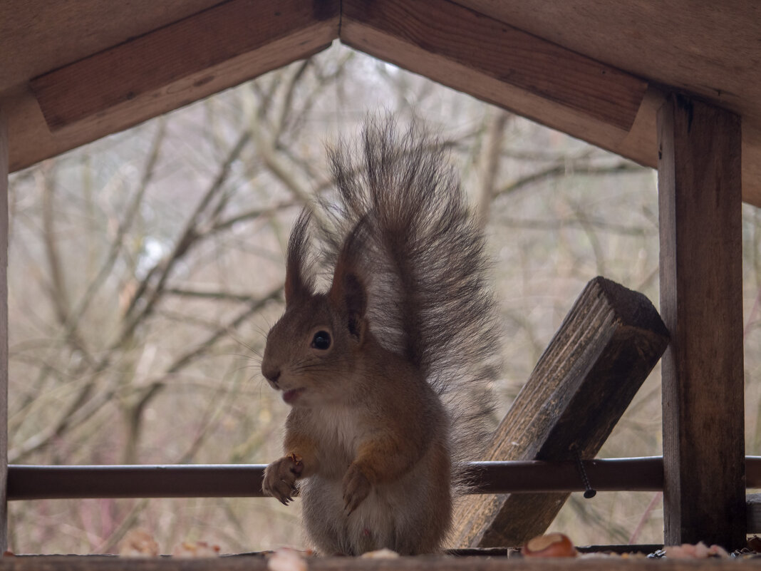 ___ - Yuriy V ___ - Yuriy V