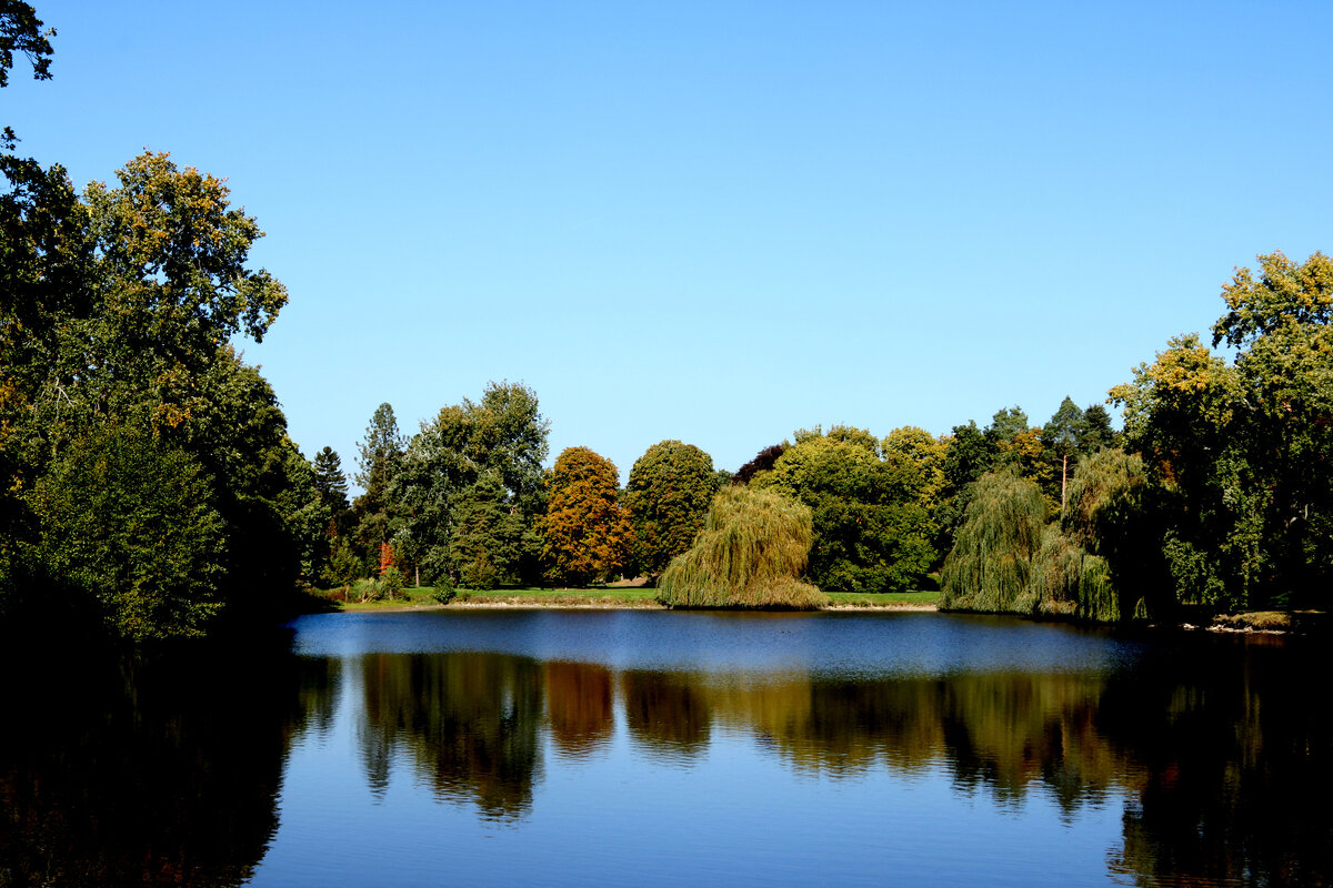 Летний комфорт - Ivan VIKAR Летний комфорт - Ivan VIKAR