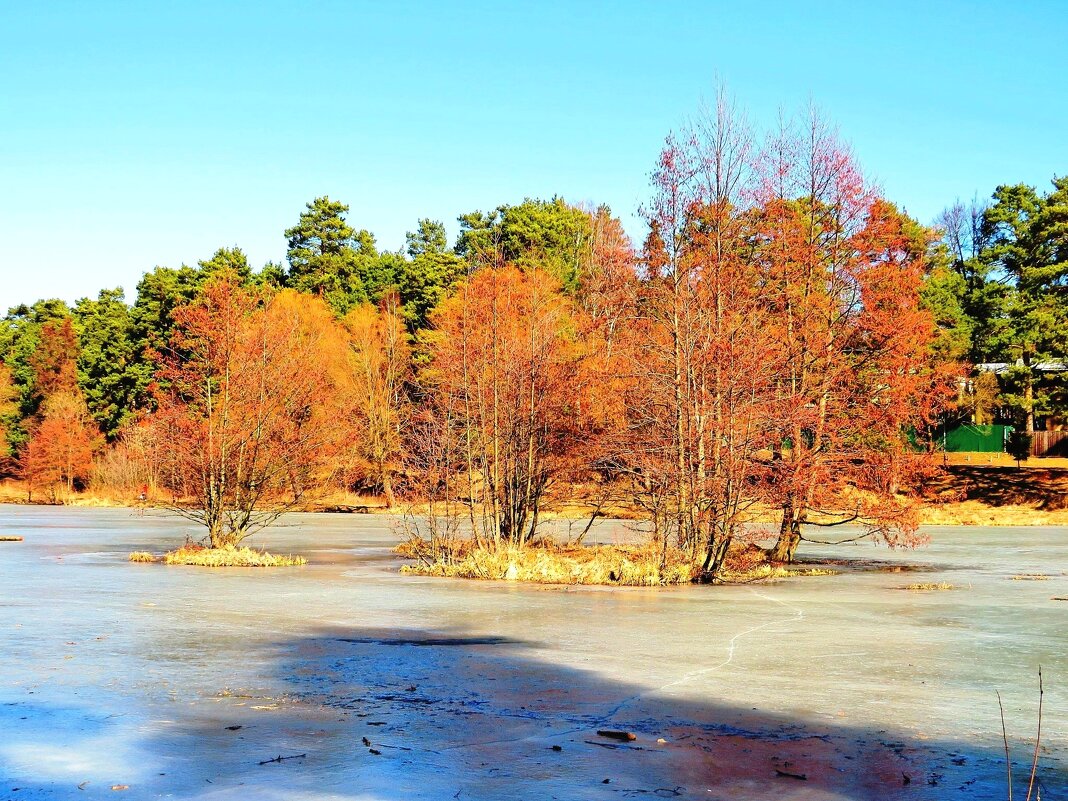 Яркий остров - Андрей Снегерёв