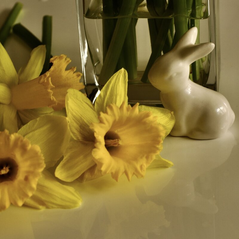 Весенний мотив. - Lucy Schneider 