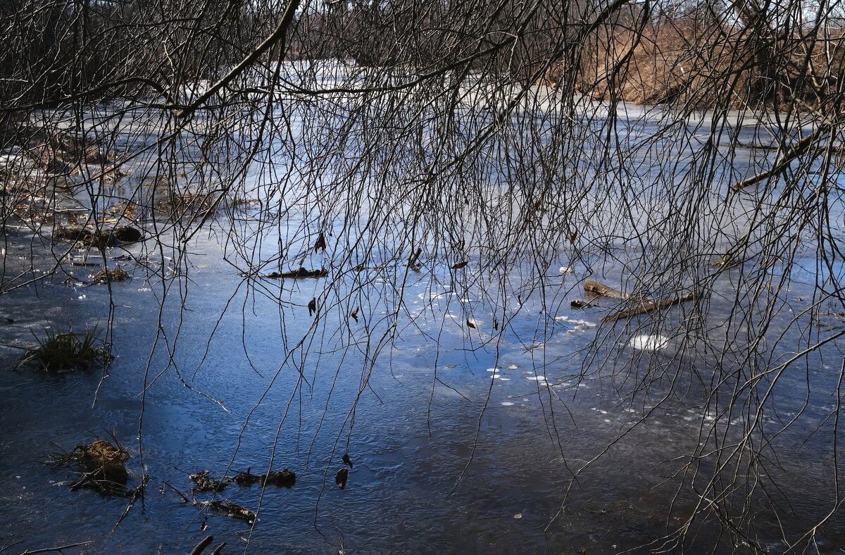Ажурная весна - Андрей Зайцев Ажурная весна - Андрей Зайцев