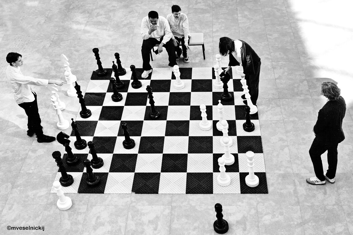 ЧЕРНОЕ И БЕЛОЕ - mveselnickij 