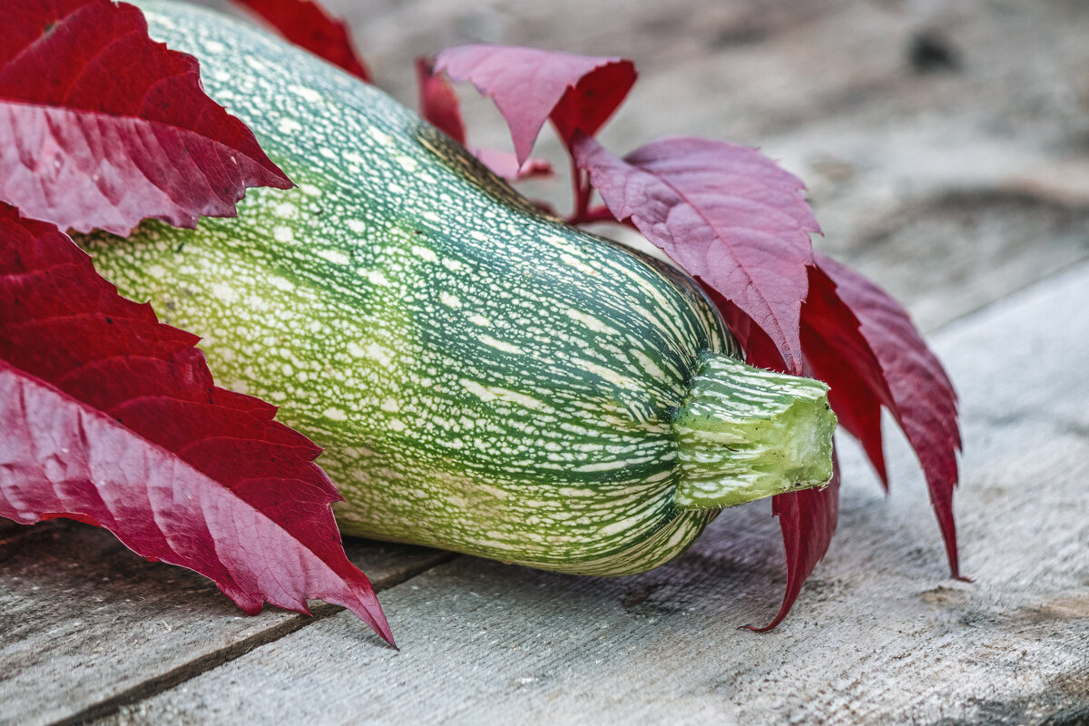 Краски лета - Андрей Неуймин Краски лета - Андрей Неуймин