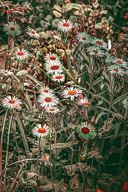 Весёлые ребята - Владимир Кроливец Весёлые ребята - Владимир Кроливец