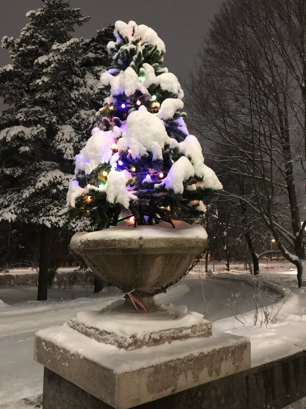 Старый Новый год - zavitok * Старый Новый год - zavitok *