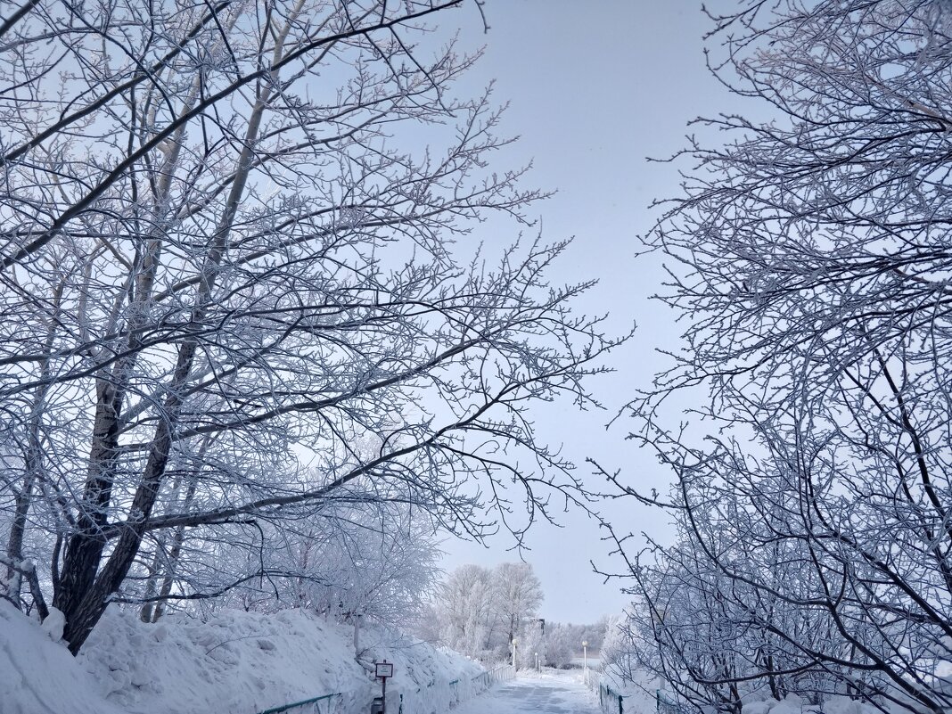 Февраль в Жосалах - Андрей Хлопонин Февраль в Жосалах - Андрей Хлопонин