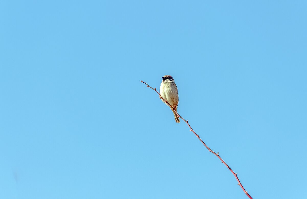 Встречая солнце - Валерий Иванович