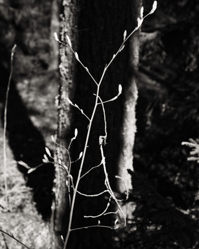 5-7533-0105-3 - Денис Безногов