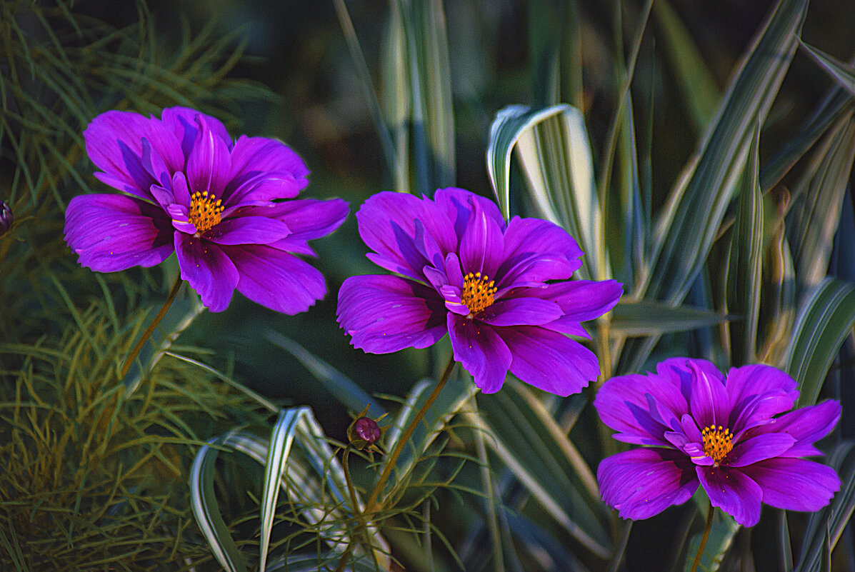 ТРОЙКА - Владимир Кроливец ТРОЙКА - Владимир Кроливец