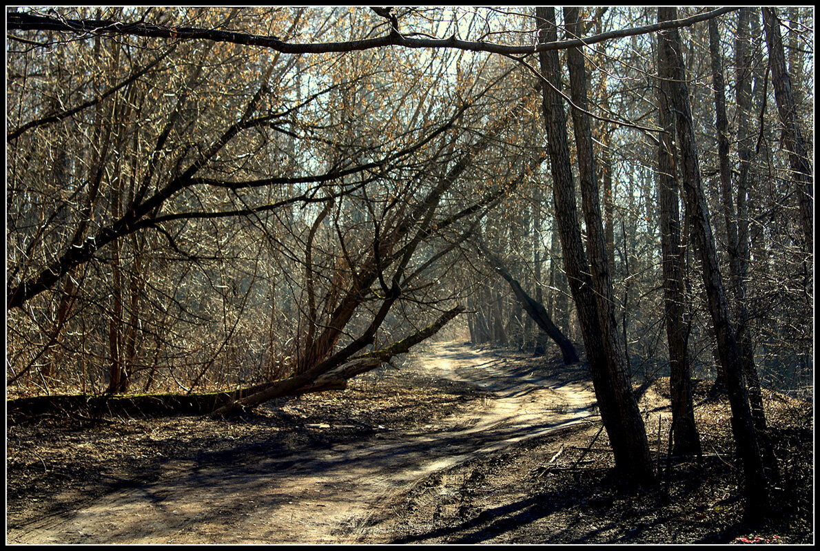 *** - Aleksandr Gal *** - Aleksandr Gal