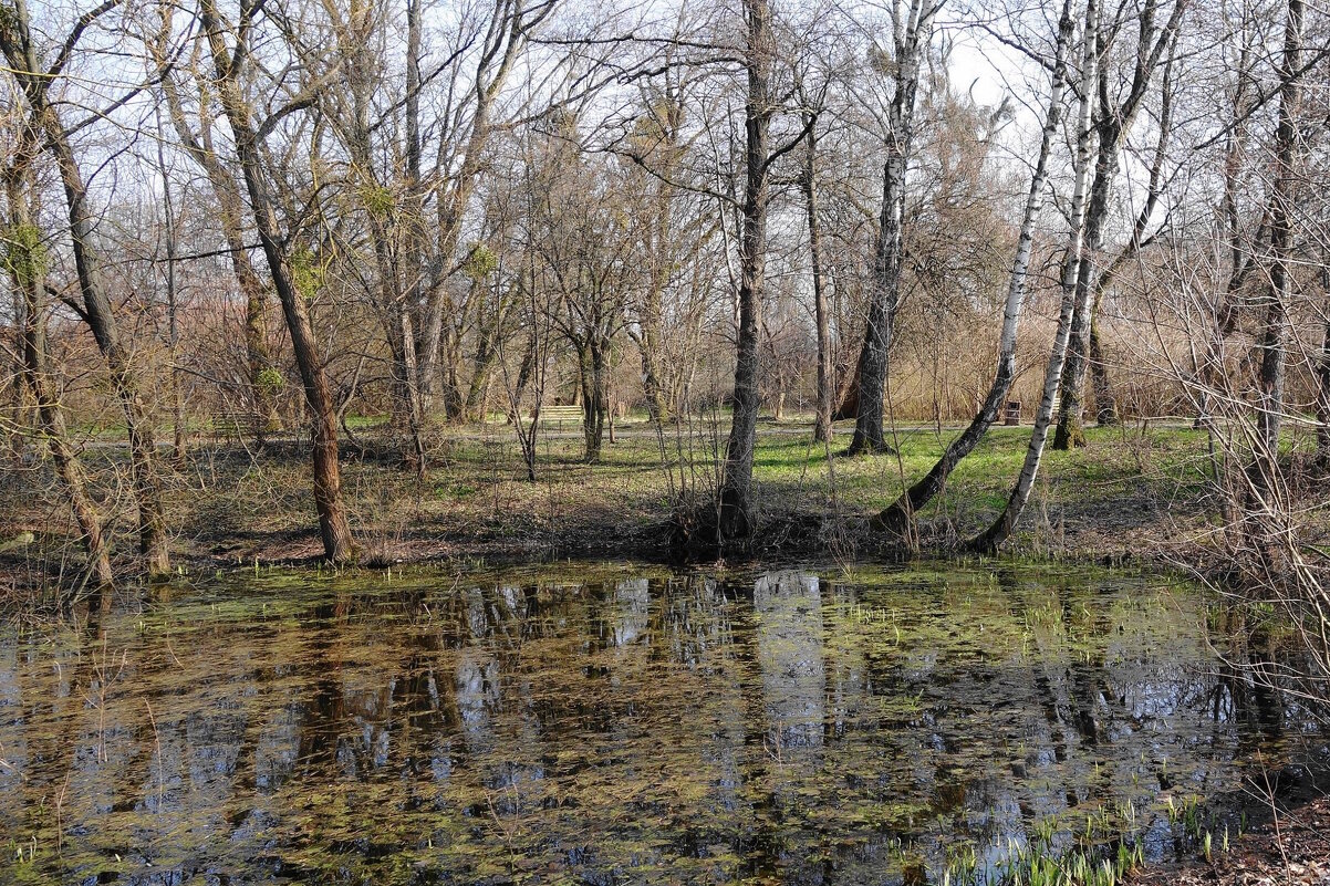 Картинки марта - Рита Симонова Картинки марта - Рита Симонова