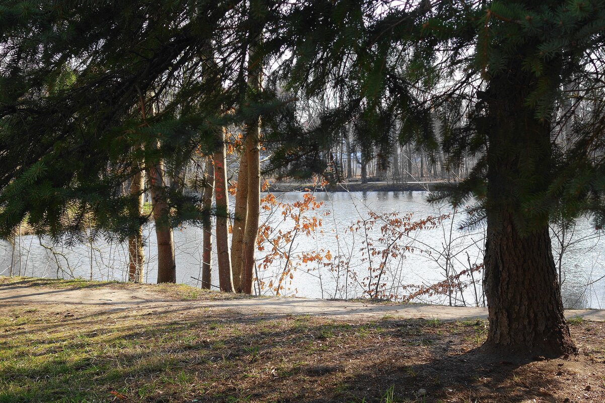 Картинки марта - Рита Симонова