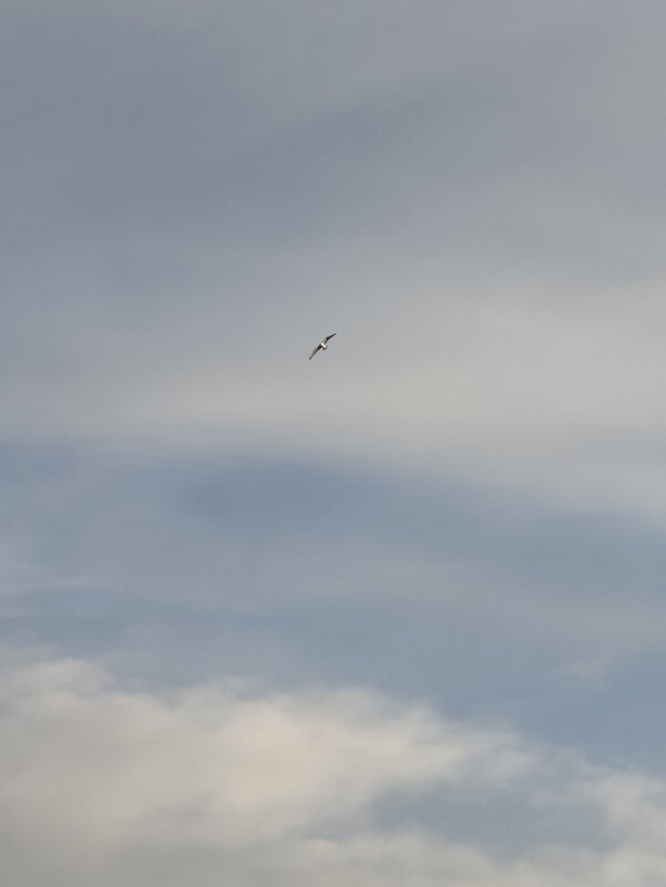 Иллюзия моря - Iren Brilliance