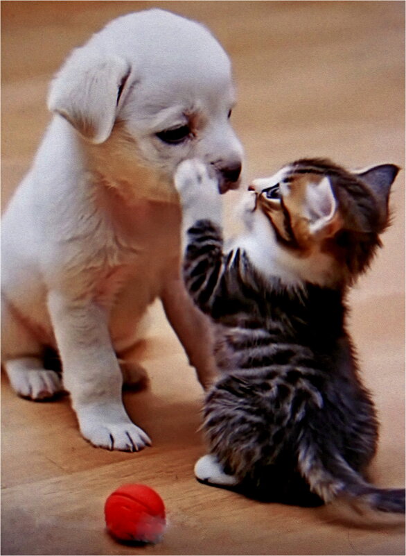 УТРО - Юрий Владимирович 34 УТРО - Юрий Владимирович 34