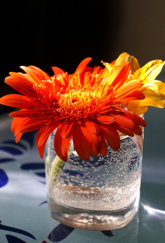 ********* - Алёна Савина