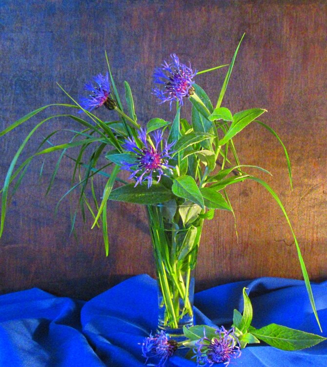 Про васильки... - Галина Кузьмина Про васильки... - Галина Кузьмина