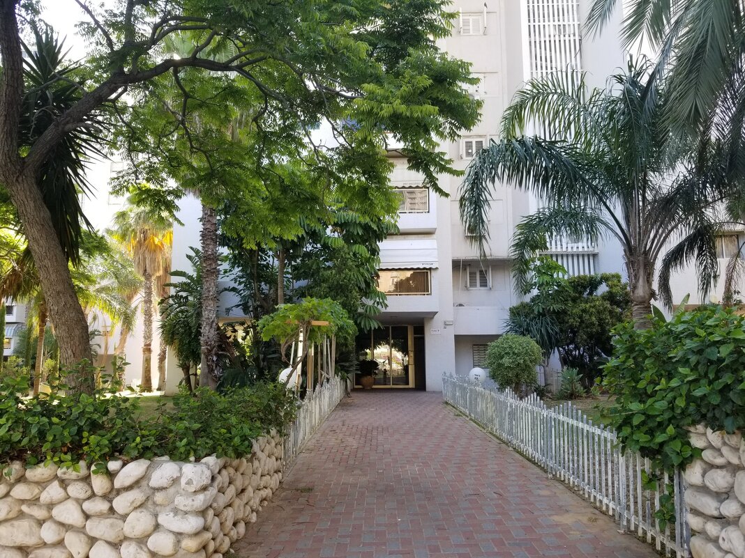 Вход в подъезд - Светлана Хращевская