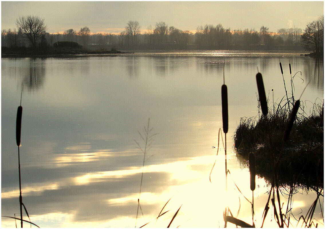 Вечерний этюд - Aleksandr Gal