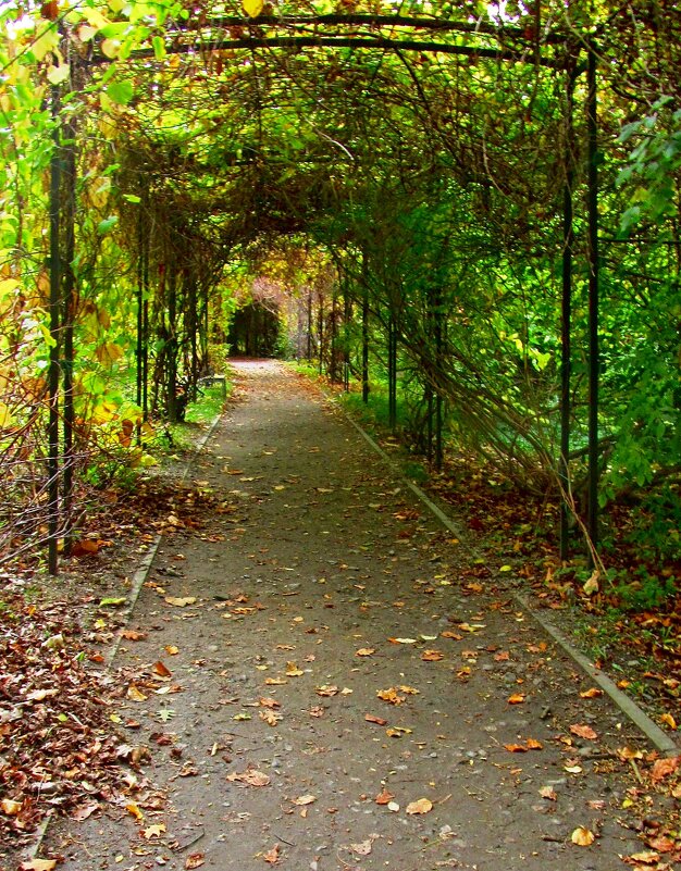 Аллея влюблённых - Сергей Карачин